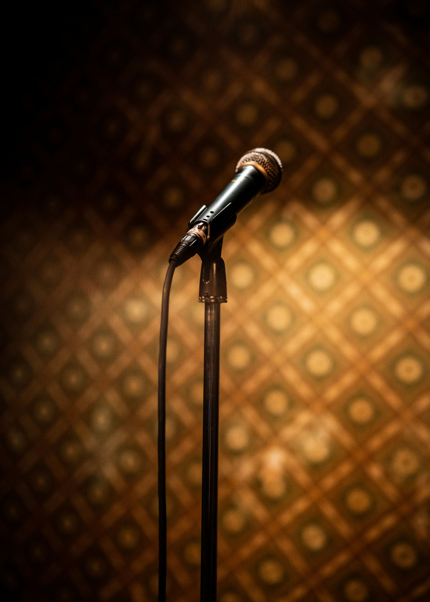 Elementar für Stand-up-Comedy, fast wie die Ziegelwand: Mikro- und Mikroständer
